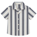 Camisa corta a rayas gris
